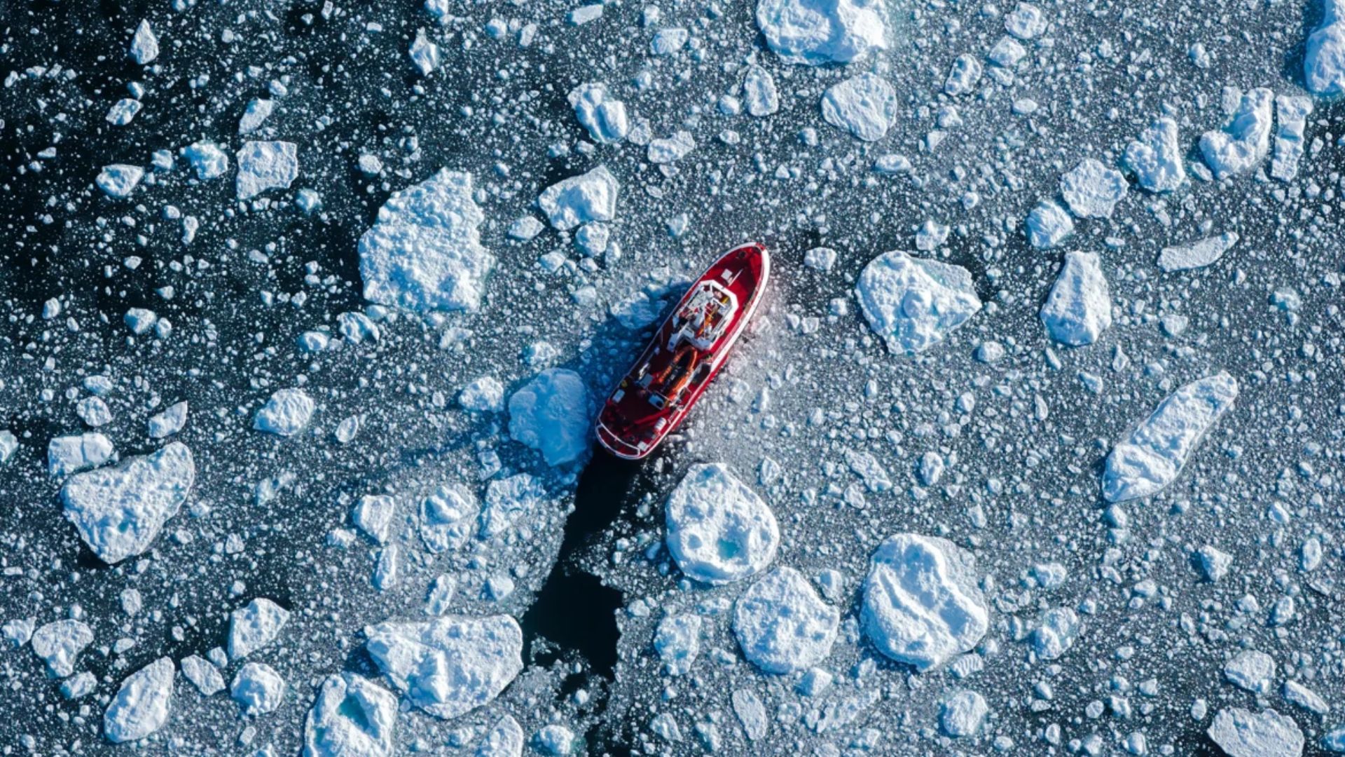 Arctic secrets revealed: Seven-year hydrophone record exposes what lurks beneath the ice
