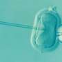 Survey suggests Europeans support state-funded fertility care and embryo research across 4 countries
