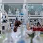New electrode design breaks key barrier to greener ammonia production
