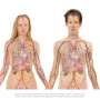 Building immunity: Tissue-resident immune cells defend human lungs from viral, bacterial, and fungal infections