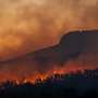 How does wildfire smoke affect the economy?