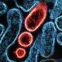 How our body's natural recycling system could help reduce inflammation