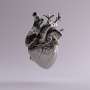 Heart stress based on NT-proBNP changes may improve CVD risk stratification
