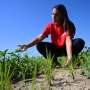 Europe's baked rice bowl seeks escape from drought