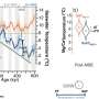 Southern Ocean intermediate waters may hold key to Earth's carbon dioxide history
