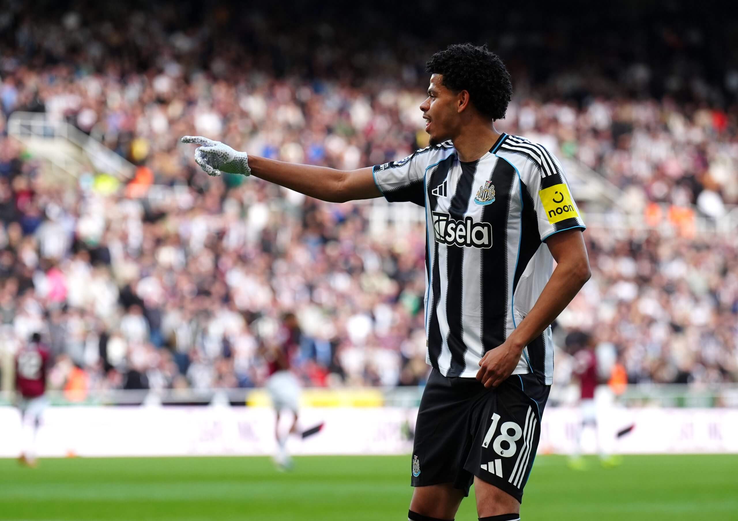 The Fantasy Premier League: Gameweek 38 differentials for boom or bust