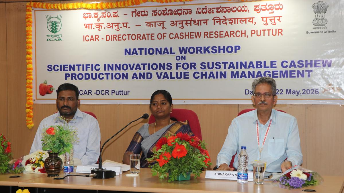 Value-added products of cashew apple a game changer for increasing income of farmers, says DCR director